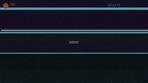 周末随拍记录 - 美女直播全婐网站免费 原创视频